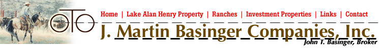 Basinger Companies, Inc.